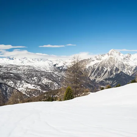 La Marmotta Mountain Retreat - Happy Apartment